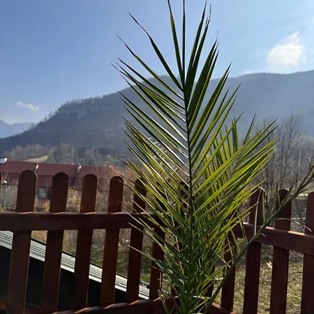 Mit Seeblick Traunkirchen